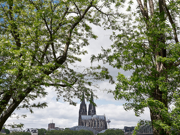Zen_Urban_1550_009