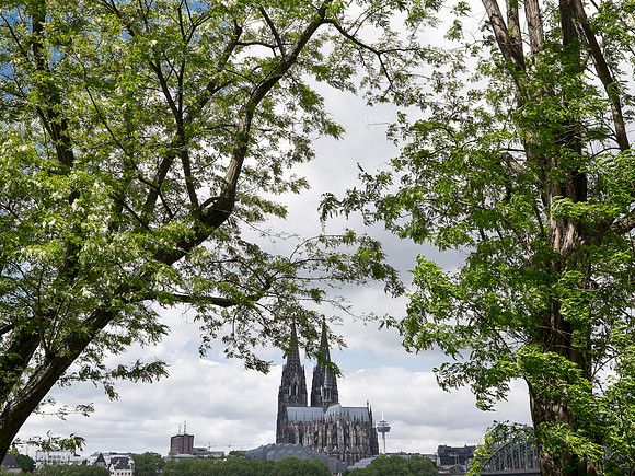 Kölner Dom